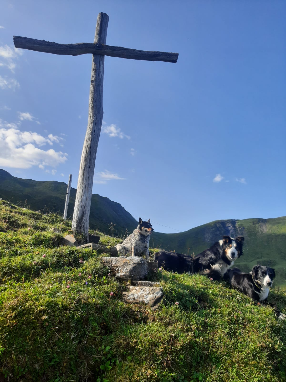 img-20250530-wa0042-kopiert